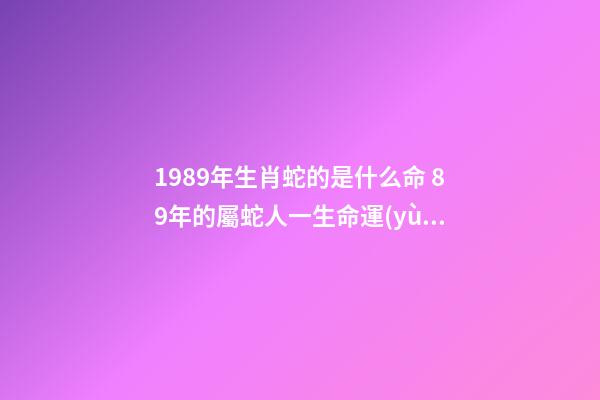 1989年生肖蛇的是什么命 89年的屬蛇人一生命運(yùn)分析 1989年出生屬蛇人的命運(yùn)如何